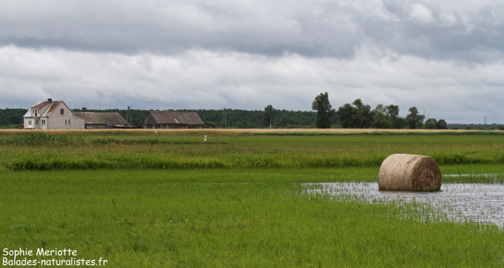 La piste de Dolistowo sous la pluie