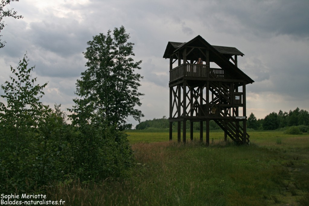 Tour d'observatoire de Krynicka Biel