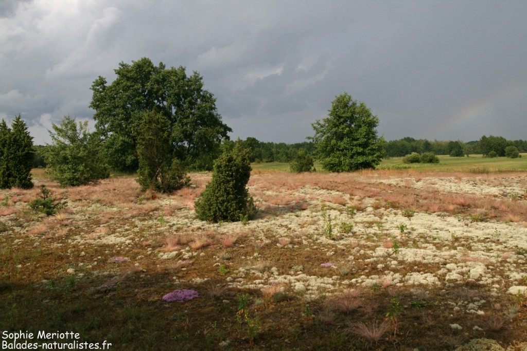 Après l'orage