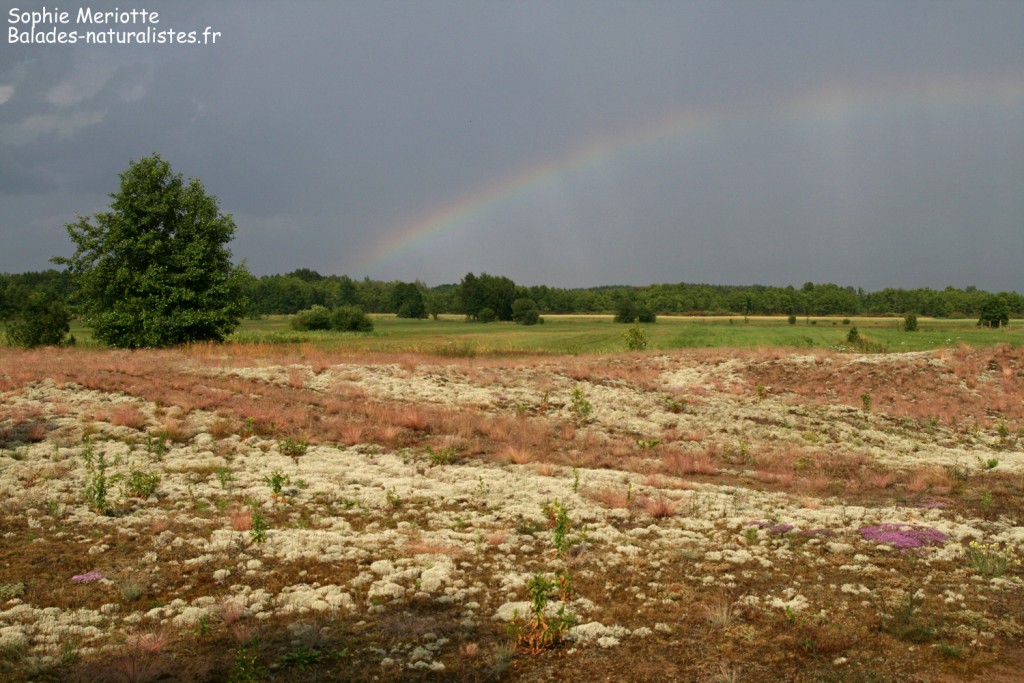 Après l'orage