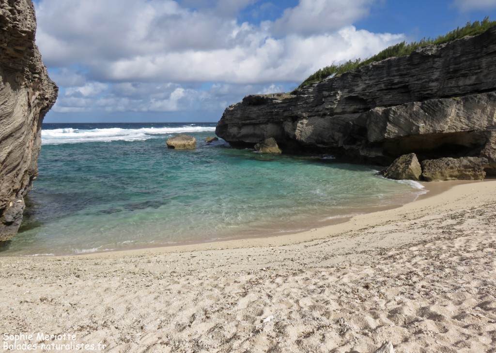 Anse bouteille