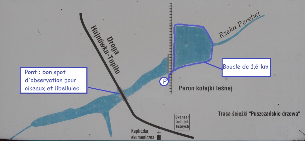 Plan de la balade autour du lac de Topilo