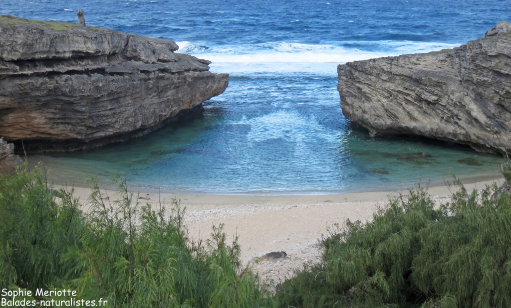 Anse bouteille