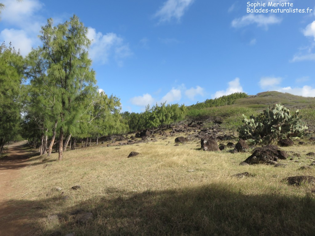 Sentier au départ de St François