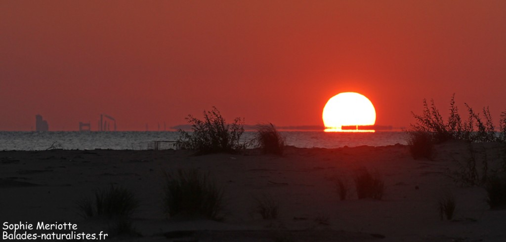 Le soleil se couche sur la mer Baltique