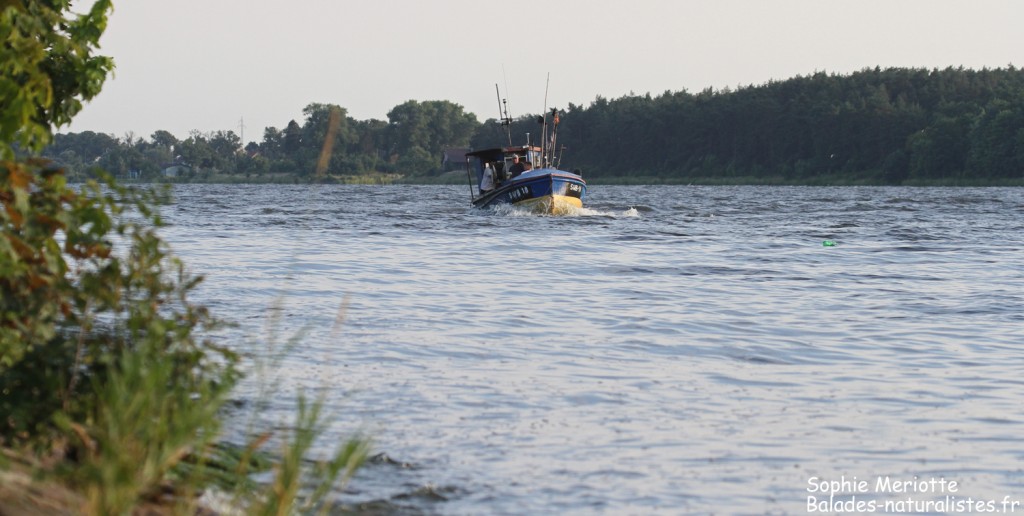 Pêcheurs descendant la Vistule