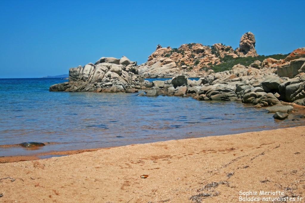 Plage de Canuseddu, Campomoro