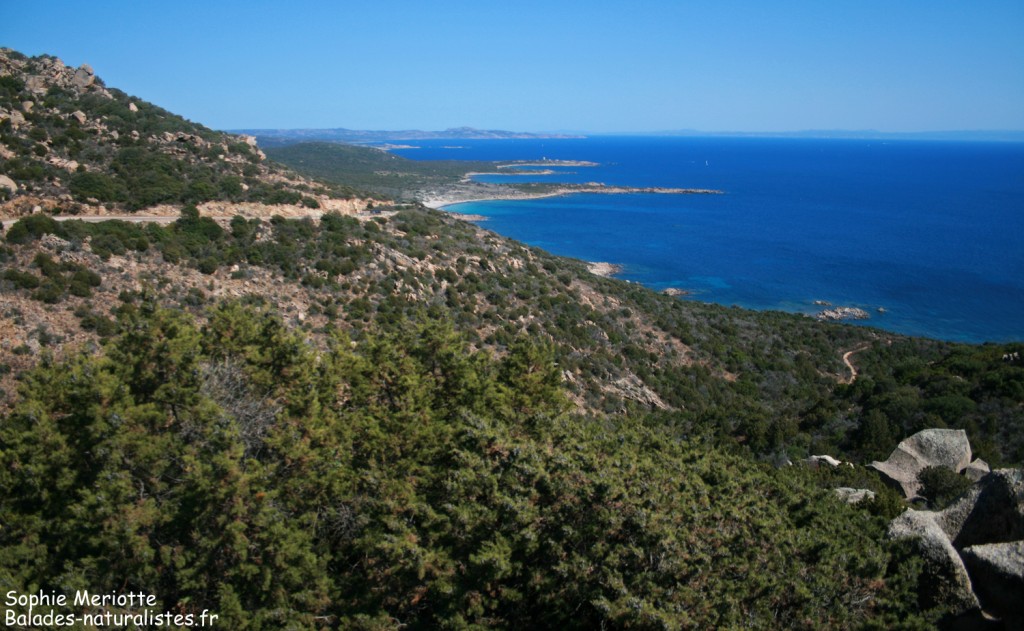 Boucle de Canuseddu, Campomoro