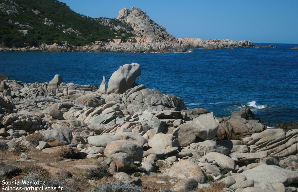 Boucle de Canuseddu, Campomoro
