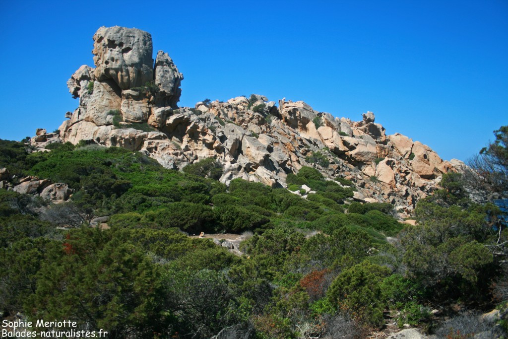 Boucle de Canuseddu, Campomoro