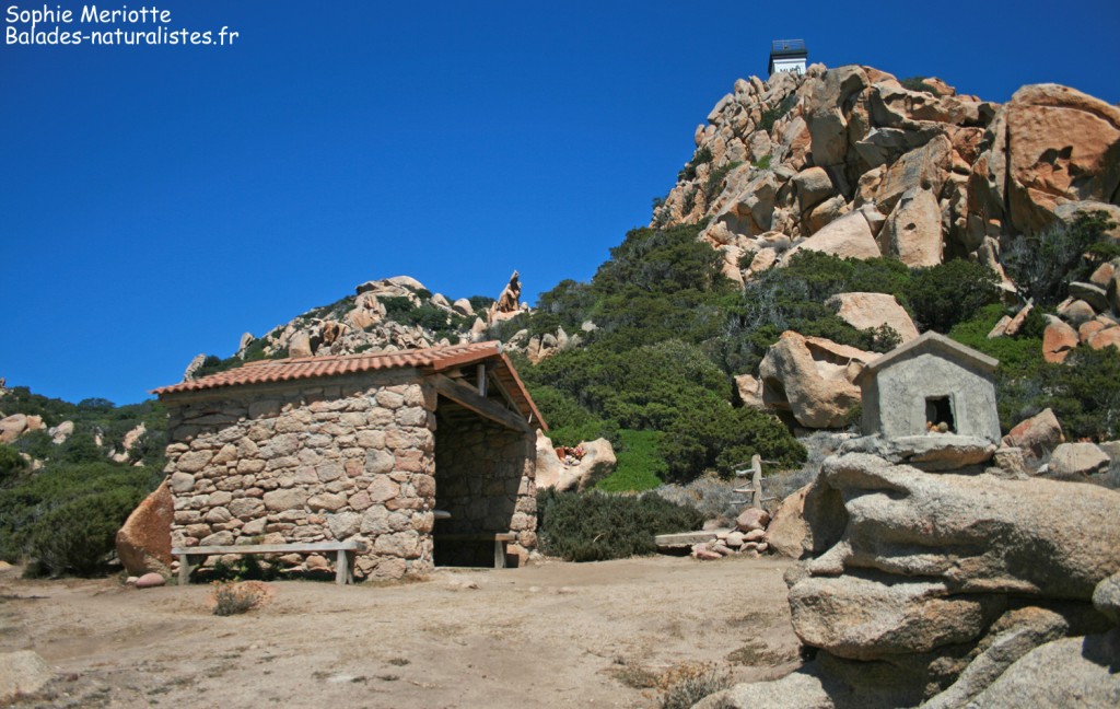 Capu di Muru