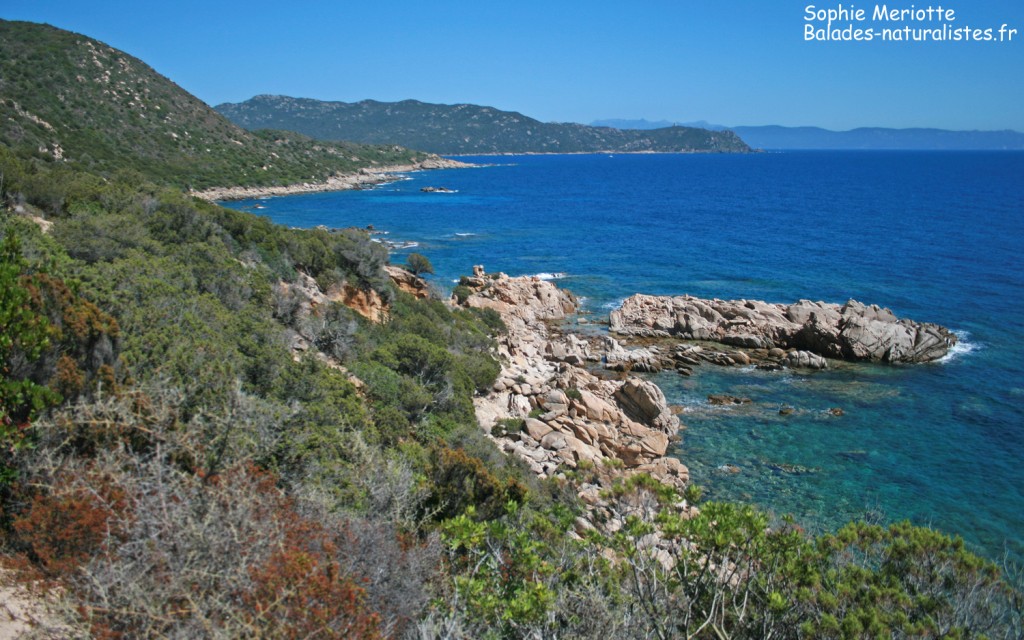 Capu di Muru, le golfe de Valinco