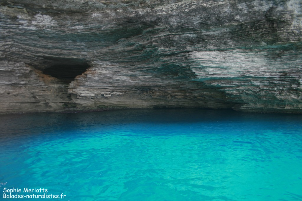Grotte dans les falaises de Bonifacio