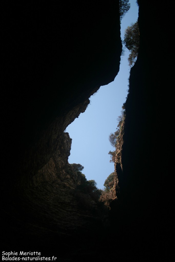 La Corse au plafond, Grotte dans les falaises de Bonifacio