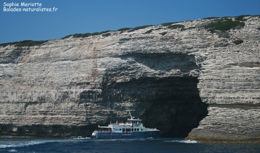 Grotte dans les falaises de Bonifacio
