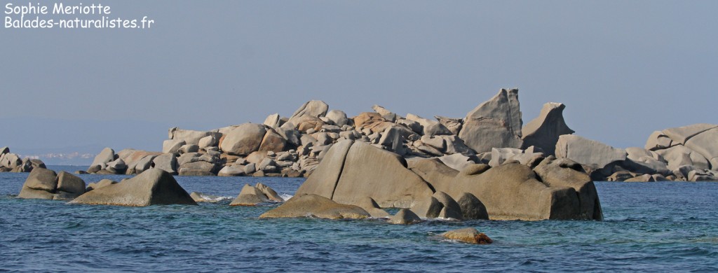 Les îles Lavezzi