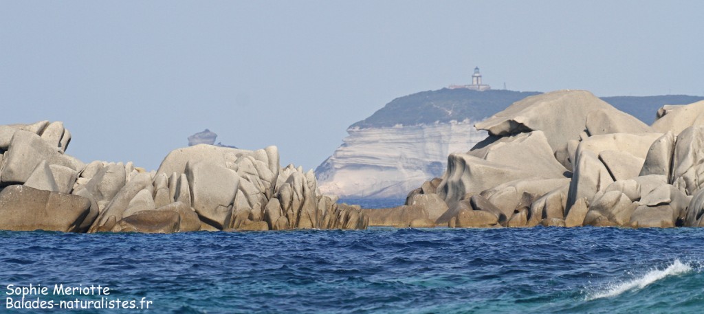 Les îles Lavezzi
