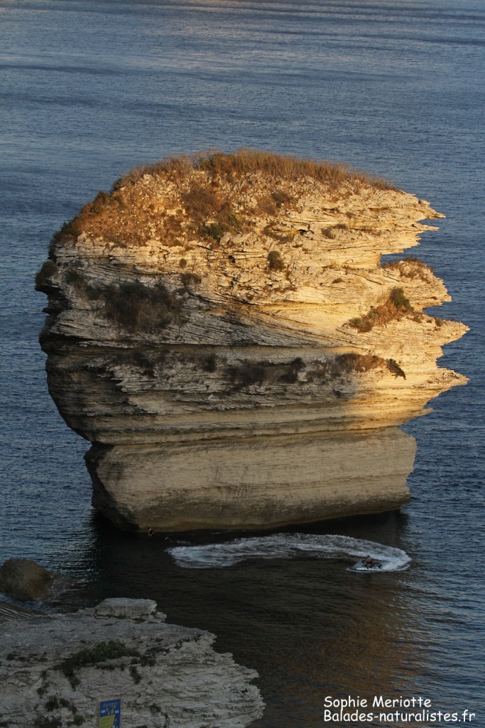 Les falaises de Bonifacio