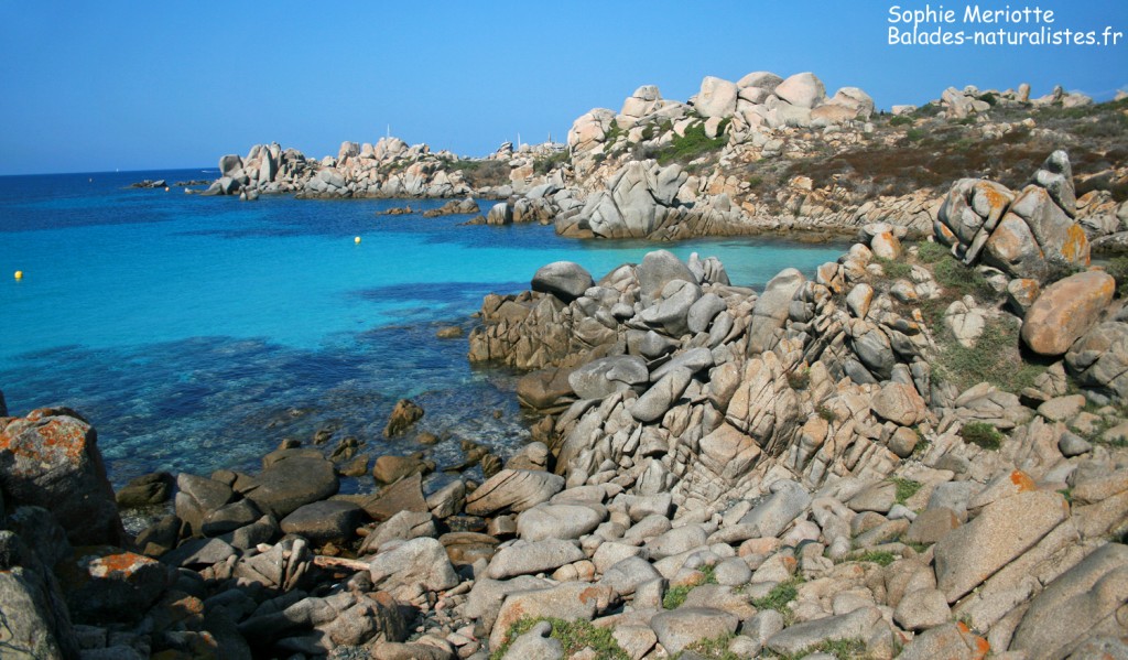 Iles Lavezzi