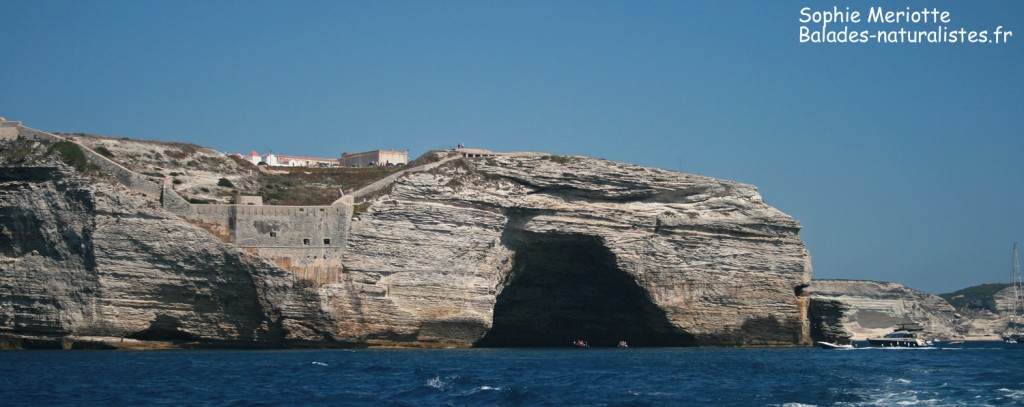 Grotte dans les falaises de Bonifacio