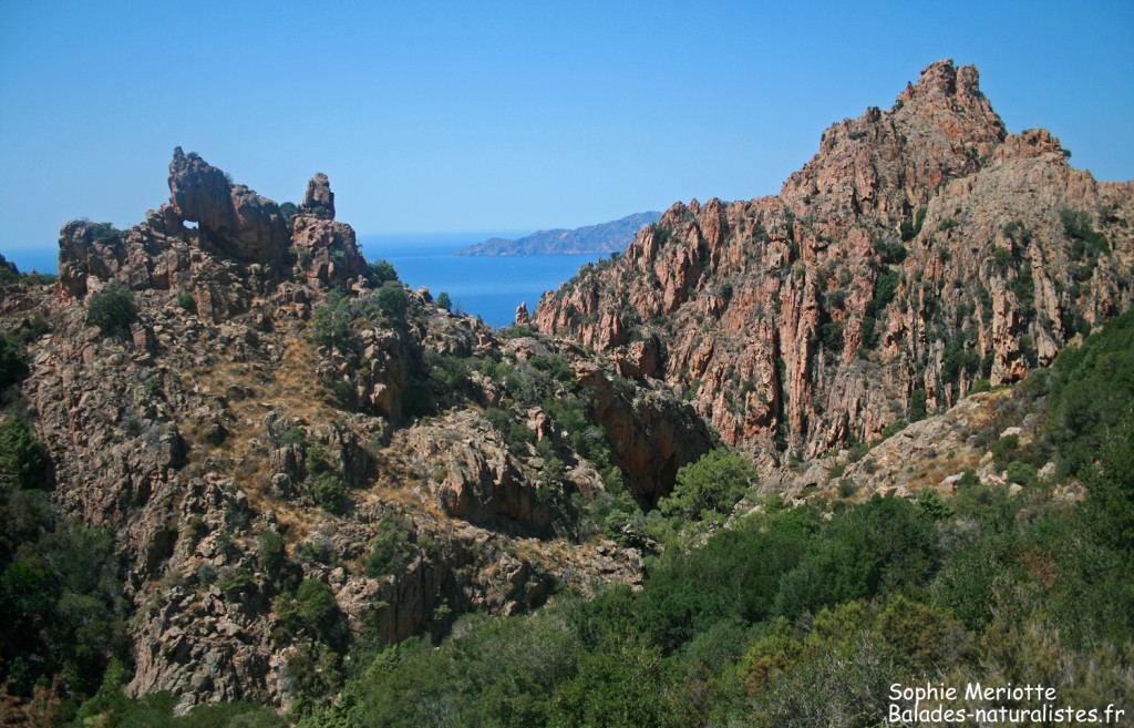 Les calanches de Piana