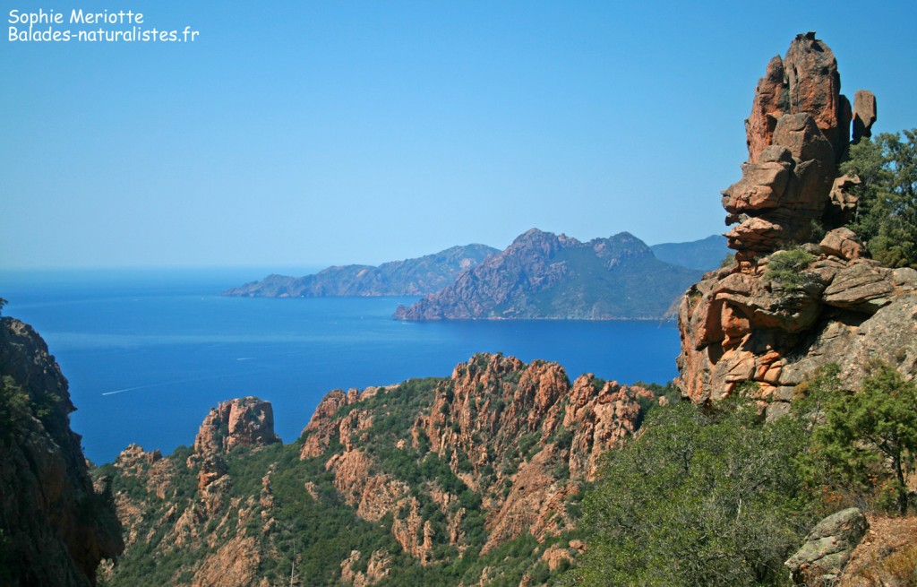 Les calanches de Piana