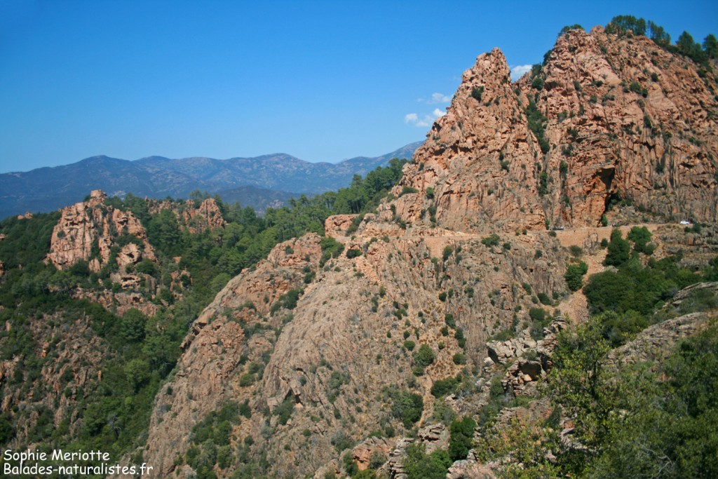 Les calanches de Piana