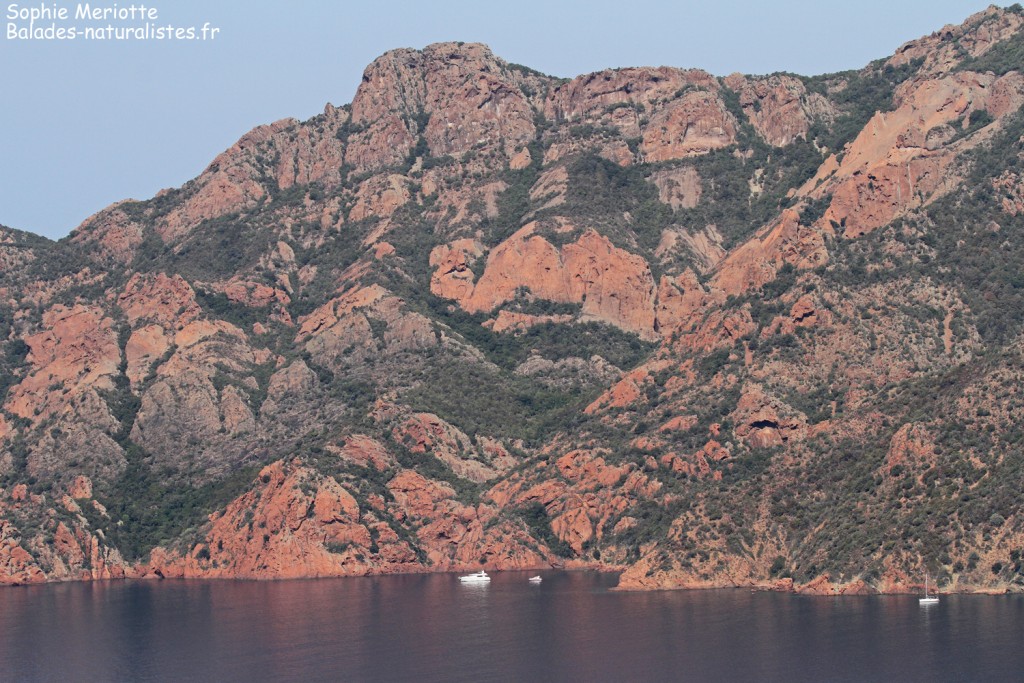 Le Golfe de Girolata