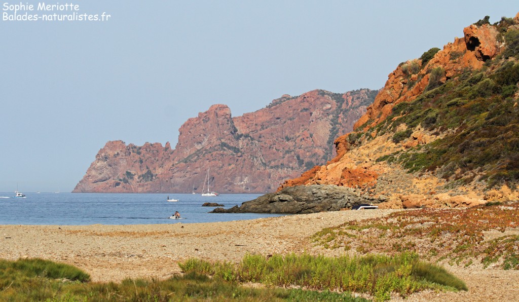 Rando pour Girolata, la plage de Tuara