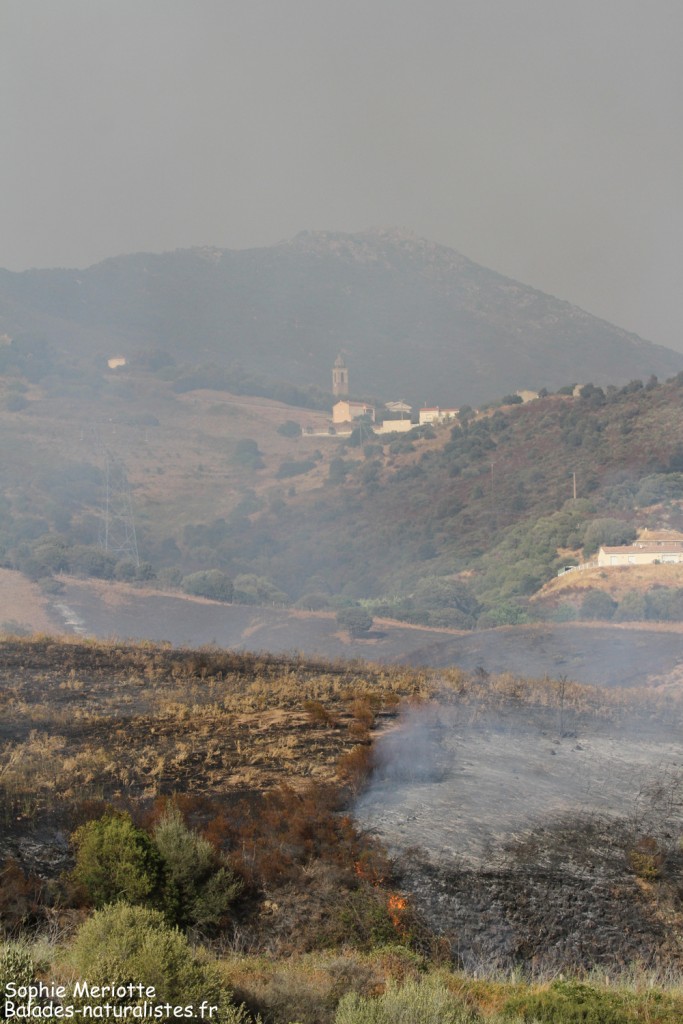 Incendie sur la route d'Ajaccio