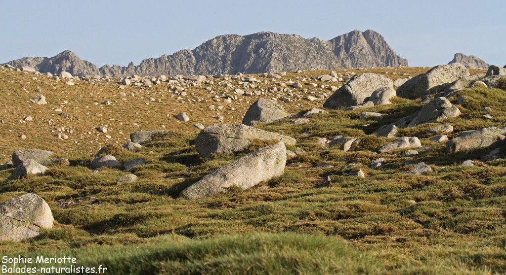 Blocs de granite sur les hauteurs du val d'Ese
