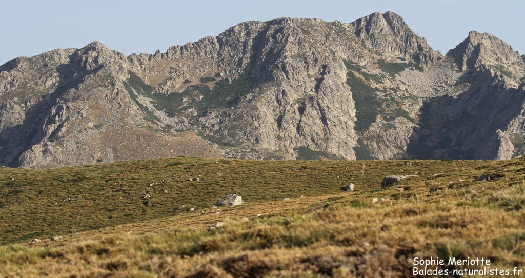 Blocs de granite sur les hauteurs du val d'Ese