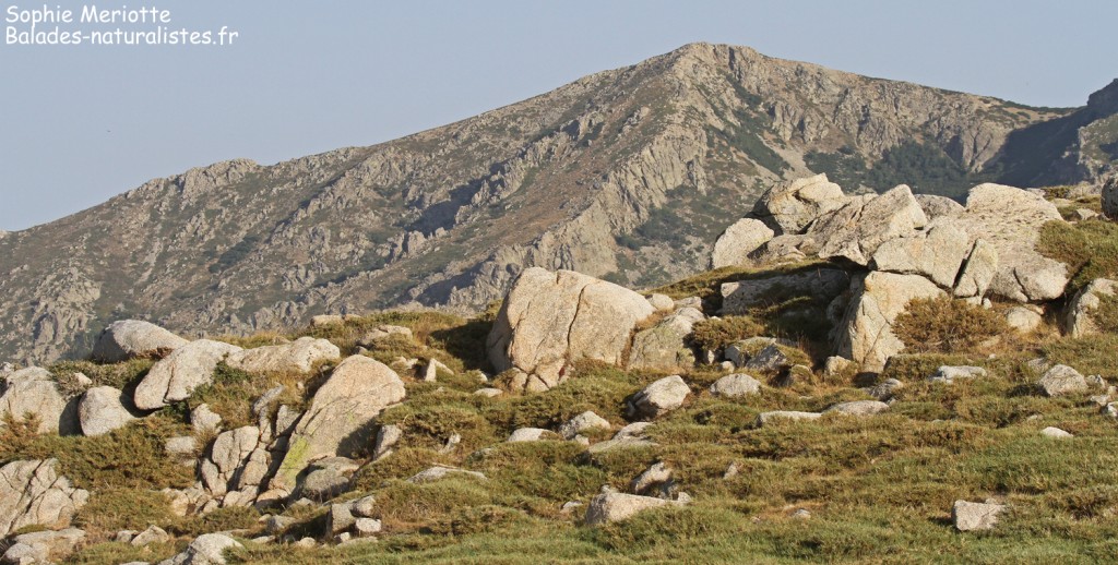 Blocs de granite sur les hauteurs du val d'Ese