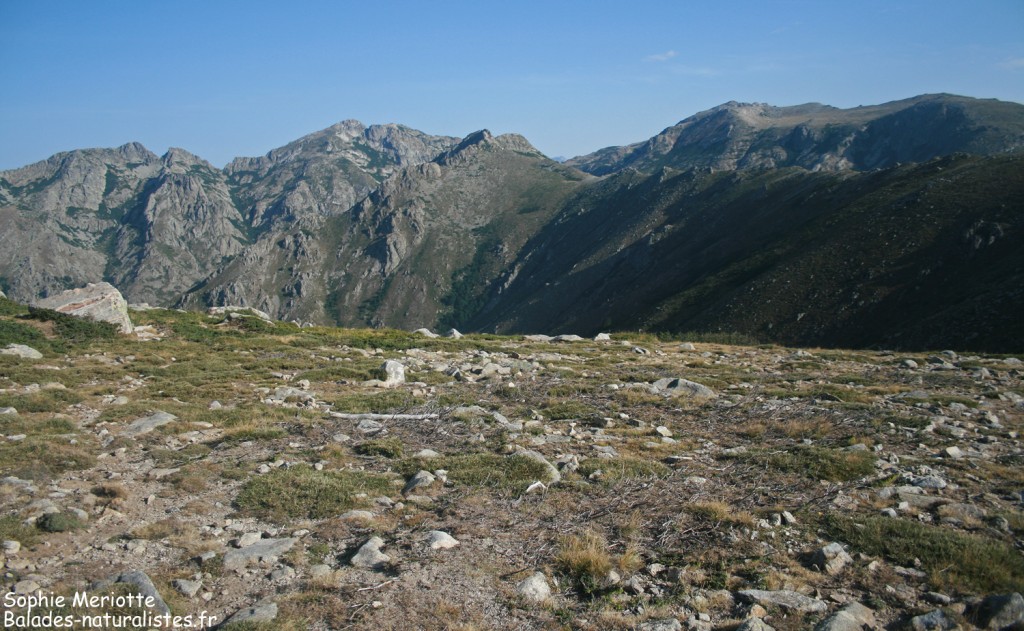 Crêtes de Scaldasole