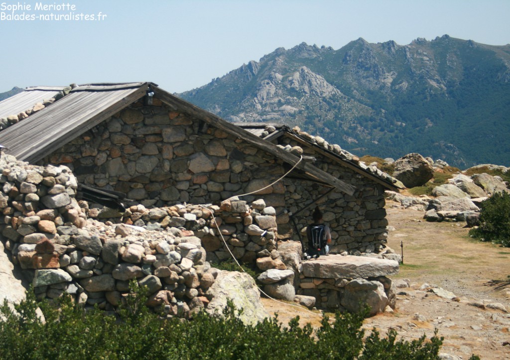Bergerie des Pozzi