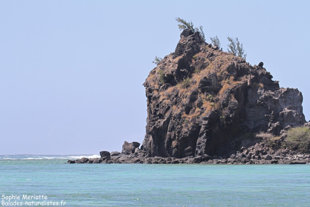 Falaises de basalte de Rivière Banane