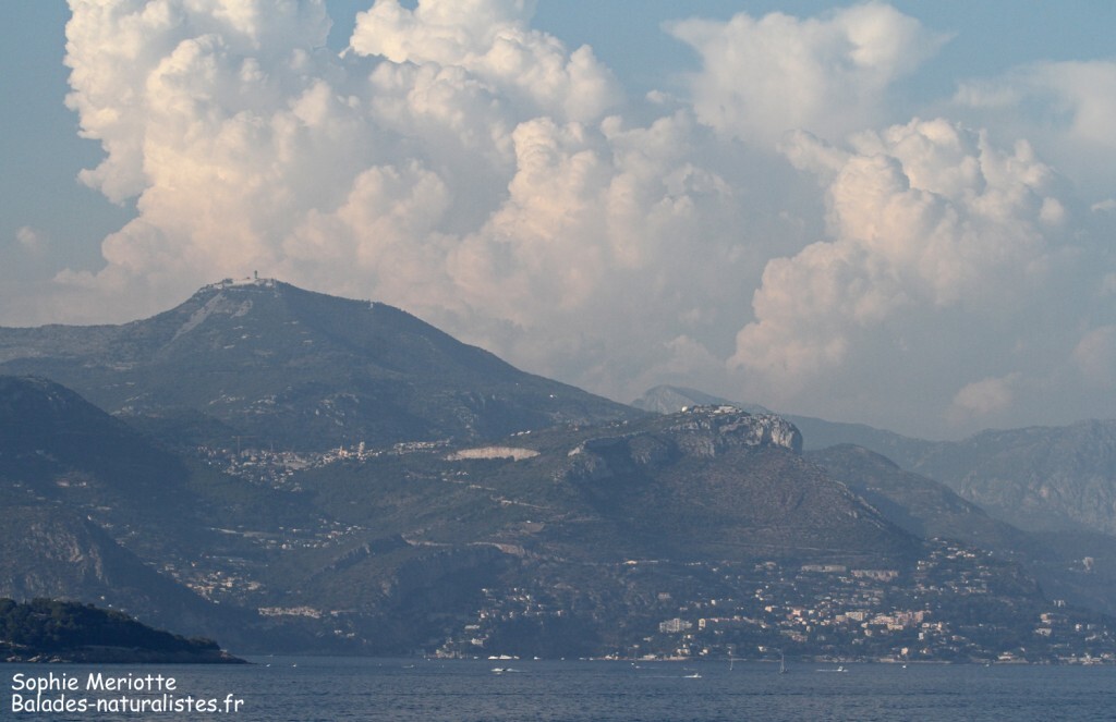 Arrivée sur Nice