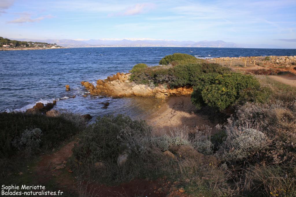 Cap d'Antibes