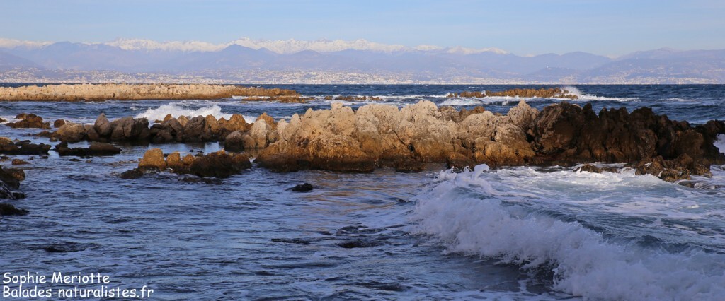 Cap d'Antibes