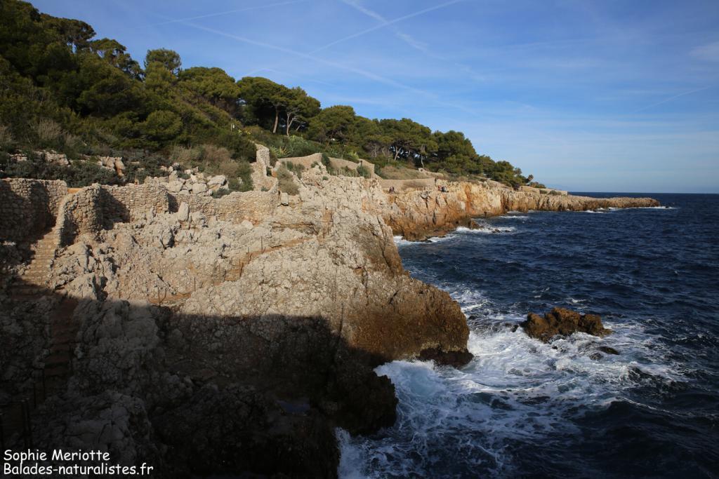 Cap d'Antibes