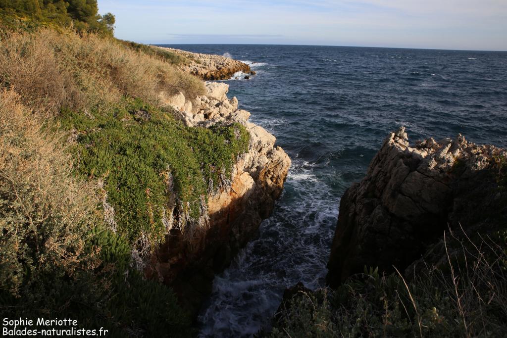 Cap d'Antibes