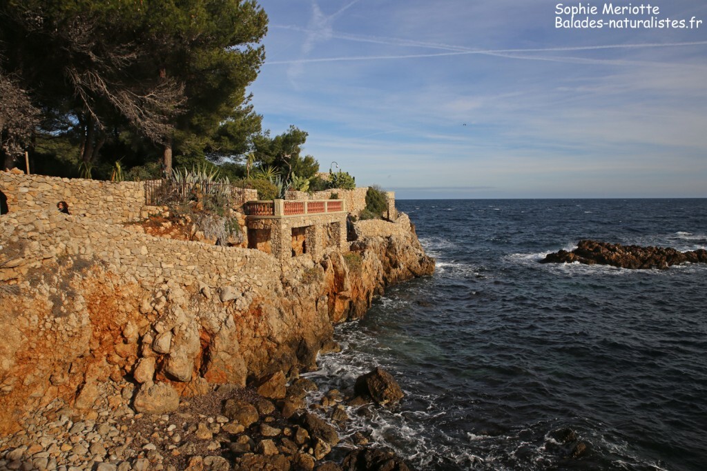 Cap d'Antibes