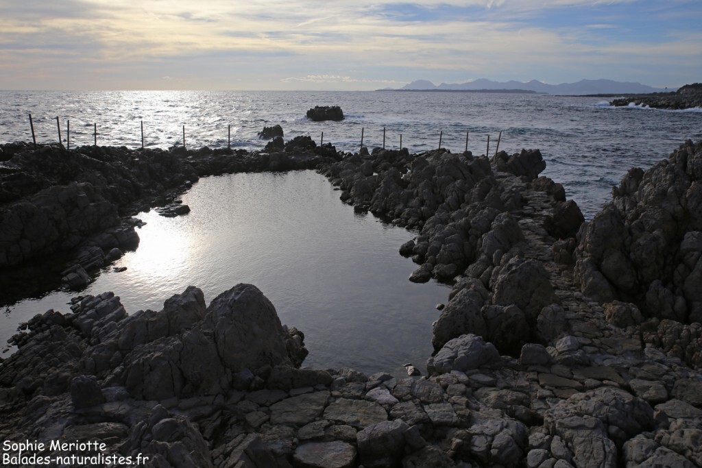 Cap d'Antibes