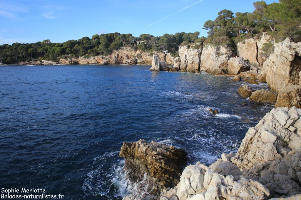 Cap d'Antibes, l'Anse de l'Argent faux