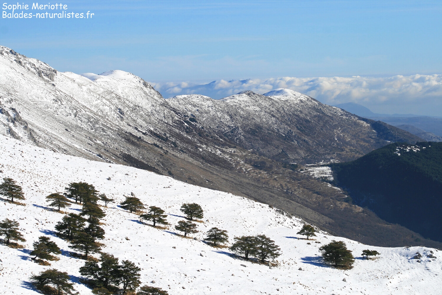Alpes maritimes Alpes maritimes