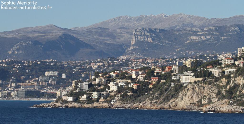 Vue depuis Saint-Jean-Cap-Ferrat sur la montagne du Cheiron