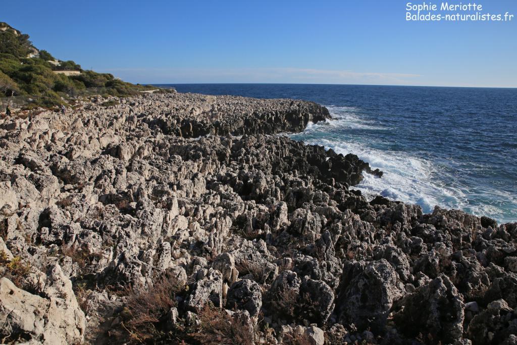 Sentier littoral de Saint-Jean-Cap-Ferrat