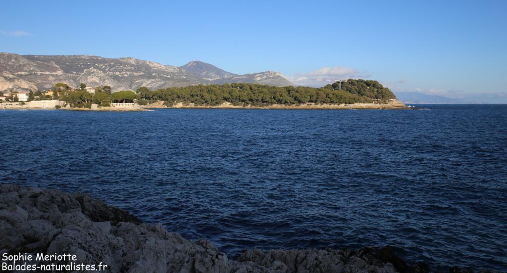 Pointe du Colombier