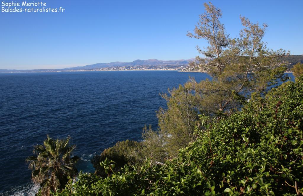 Rade de Villefranche-sur-mer