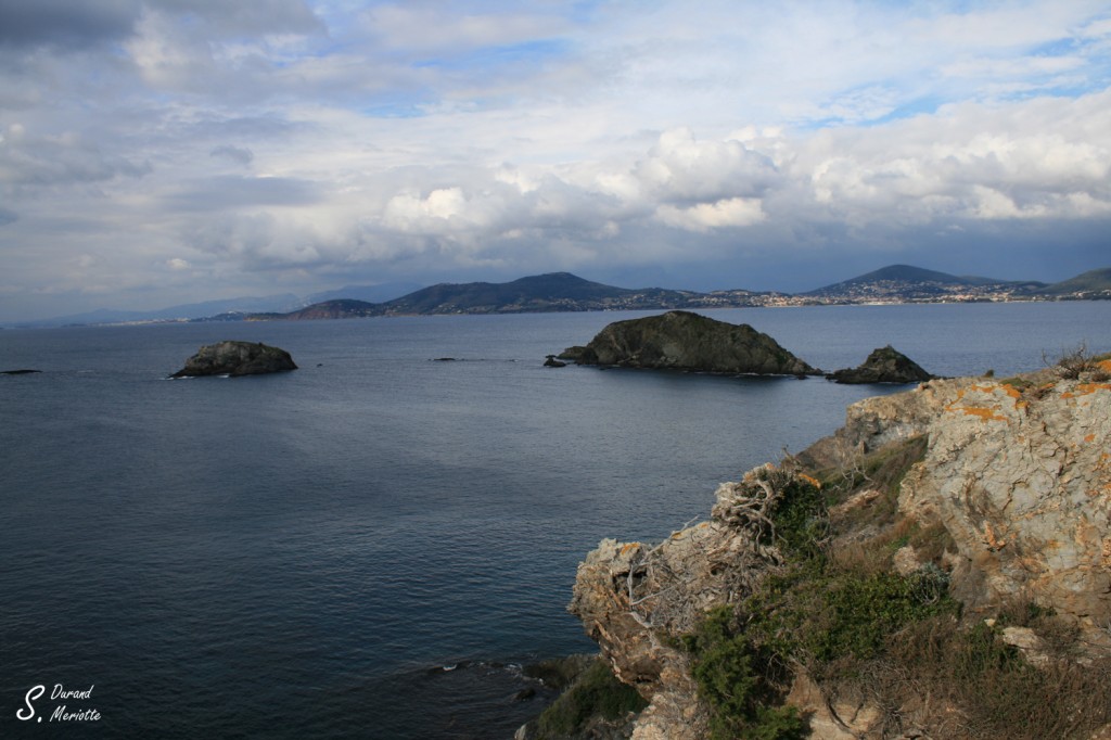 presqu-ile-de-giens (10)